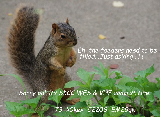 K0KEX