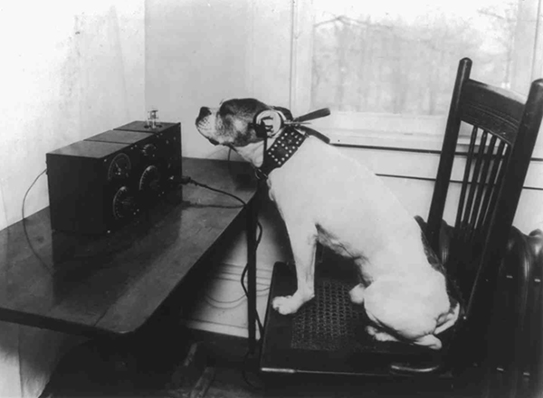 Doggone it, I know I heard him!