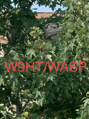 W9HT